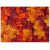 2x3 Area Rugs Natural Scenery Fall Leaves Forest Small Entryway Mats, Thanksgiving Autumn Leaves Red Laundry Room Rug Non Slip Throw Rugs for Front Door Bedroom Bedside view 2