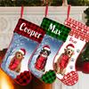 NAZENTI Personalized Poodle Christmas Stocking, Custom Dog Name Stocking, Christmas Family Gifts view 2