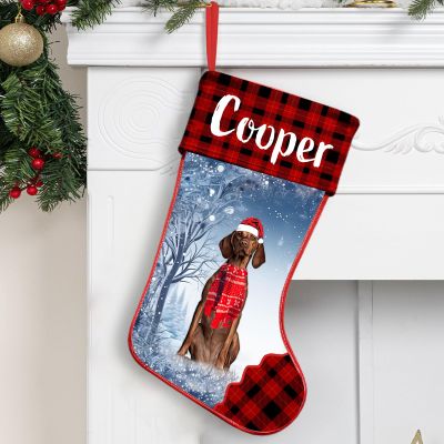 NAZENTI Personalized Vizsla Christmas Stocking, Custom Dog Name Stocking, Gifts for Dog Lovers at Christmas, Custom Christmas Stocking, Family Gifts