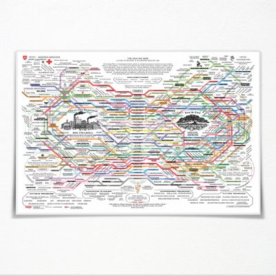 The Healing Web Holistic Health Map Canvas Print - A Guide to Natural and Allopathic Remedies Poster for Home Decor (60x90cm-Unframed)