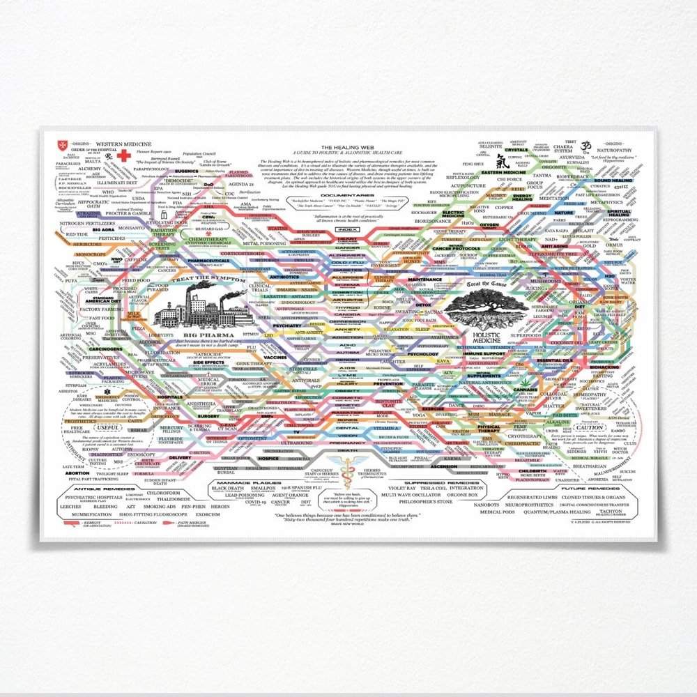 The Healing Web Holistic Health Map Canvas Print - A Guide to Natural and Allopathic Remedies Poster for Home Decor (60x90cm-Unframed)