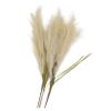 LIFKICH 4pcs Artificial Phragmites Plant for Home Decoration Simulated Greenery Arrangements Soft for and Flower Arranging view 1