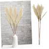 LIFKICH 4pcs Artificial Phragmites Plant for Home Decoration Simulated Greenery Arrangements Soft for and Flower Arranging view 2