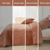 COCOPLOCEUS Quilt Set California King Size 106x118 Luxurious Velvet Bedding Sets with 2 Pillow Shams 20x36 3 Pieces Ultra Soft Quilted Bedspread Coverlet Comforter for All Season, Rust view 2