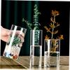 STOBAZA Hydroponic Glass Flower Vase Elegant Cylinder Terrarium for Fresh Dried Flowers Glass Decorative Planter for Home Office Decor view 2