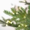 Vickerman 6.5' x 63" Sherwood Fir Tree 1350CC LED. This Artificial Tree Features 2,216 Tips Made with PE and PVC Material. view 2