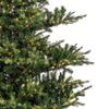 Vickerman 6.5' x 63" Sherwood Fir Tree 1350CC LED. This Artificial Tree Features 2,216 Tips Made with PE and PVC Material. view 3