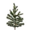 Vickerman 6.5' x 63" Sherwood Fir Tree 1350CC LED. This Artificial Tree Features 2,216 Tips Made with PE and PVC Material. view 4