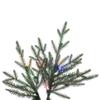 Vickerman 5.5' x 42" Slim Itasca Fraser Fir Artificial Pre-Lit Christmas Tree with 350 Multicolor LED Mini Lights view 2