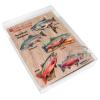Alaskan Salmon Wooden Ornaments Set of 5 by G. Debrekht - Wildlife Holiday Decor - 8091322S5 view 3