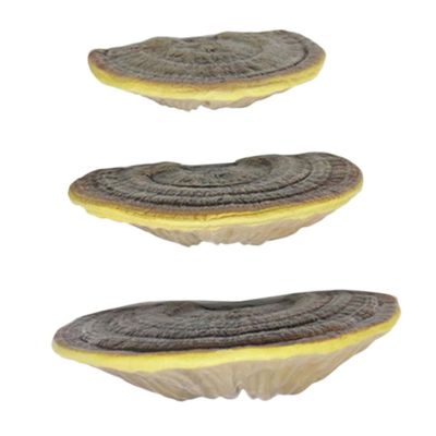 QUMIIRITY 3pcs Hanging Wall Decor Resin Floating Shelves Floating Shelves Modern Wall Rack