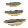 QUMIIRITY 3pcs Hanging Wall Decor Resin Floating Shelves Floating Shelves Modern Wall Rack view 1