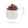 CORHAD 4pcs Mini Succulent Pots Plant Fake Succulents Artificial for Home Decor Faux Mini Plants view 2