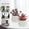 CORHAD 4pcs Mini Succulent Pots Plant Fake Succulents Artificial for Home Decor Faux Mini Plants view 4