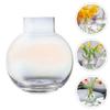 Yardenfun Desktop Glass Vase Hydroponic Flower Glass Flower Vase Ornament Home Decor view 4