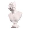 PRETYZOOM Roman Statue Sculpture Resin Figurine David Head Ornament for Desktop Home Office Decor 19x14x31cm view 1