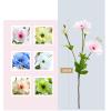 GFRSWEQY Artificial Butterfly Peony Elegant Nordic Style Simulation Light Luxury Exquisite Decor Home Living Room (Champagne) view 4