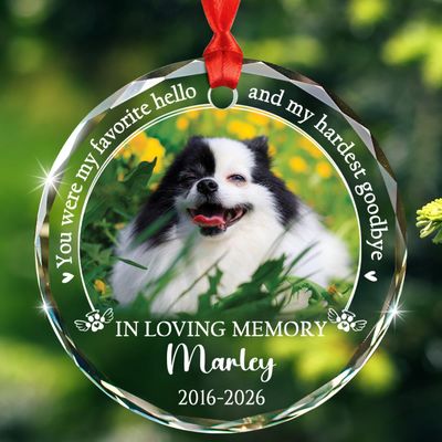 You were My Favorite Hello & My Hardest Goodbye Glass Ornament Gift, Personalized Dog in Loving Memory Christmas Ornament 2026, Customized Year Name Picture Dog Cat Memorial Glass Xmas Ornament Decor