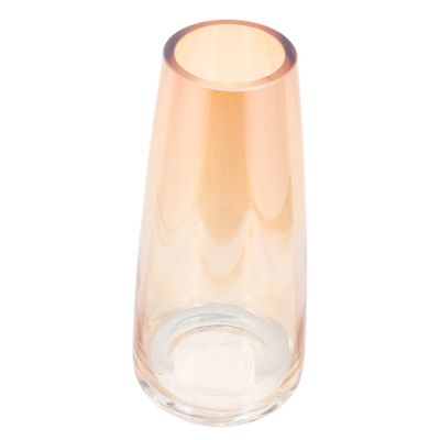 ABOOFAN Elegant Transparent Glass Flower Vase for Dried Arrangements Simple Desktop Decor for Home Office High-end Material for Unique Floral Displays