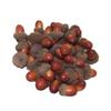 Artificial Plants, Artificial Acorns for Fall Autumn Display Wedding Fall Parties Decoration Craft DIY 20pcs view 2