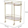 SDdPulse Storage Trolley Rolling Cart Utility Cart 2 Tier Iron Kitchen Storage Cart with Wheels Movable Rolling Cart Restaurant Tea and Food Delivery Trolley Kitchen Storage Cart,Gold-62 * 35 * 75cm view 3