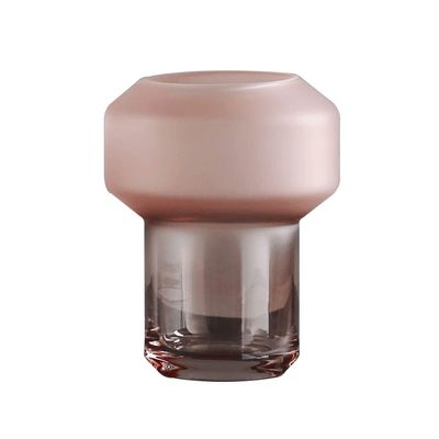 TAOTAOOPK Glass Vase Transparent Hydroponic Home Living Room Designer Decoration(Small)