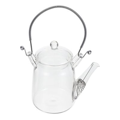 BIUDECO Stainless Steel Kettle Pot Stove Top Water Kettle Glass Pitcher Milk Container Beverage Pitcher Water Jug