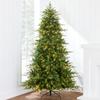 Best Choice Products Full Aspen Christmas Tree, 6ft Pre-lit Realistic Noble Fir w/ 450 Glowing Micro LED Lights, 2-in-1 White & Multicolor view 1