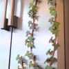 English Ivy Fridge Magnet with Articulating Stems,Home Kitchen Refrigerator Decor Ivy Vine Leaf Magnetic 3D Printed Funny Fridge Magnets for Locker Fridge (2Set, Green) view 2