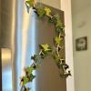 English Ivy Fridge Magnet with Articulating Stems,Home Kitchen Refrigerator Decor Ivy Vine Leaf Magnetic 3D Printed Funny Fridge Magnets for Locker Fridge (2Set, Green) view 4