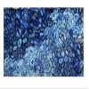 21 x 21 Inches Resin Sofa Table for Living Room and Guest Room Decor Square Shape Blue Agate Coffee Table Top view 1