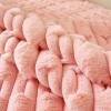 LELISKA Fluffy Plush Striped Furniture Protector Couch Cover,Soft Warm Plush Sofa Couch Cover,Ultra-Soft Fluffy Non-Slip Sofa Cushion Covers,Faux Fur Couch Cover (Gray,110 * 210cm) view 4