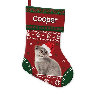 GABSHAIM Snowflake Scottish Fold Cat Dog in Santa Hat Christmas Stockings Red Green Custom Xmas Hanging Stockings for Fireplace Holiday Party Decoration 14.4 Inch