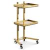 Trolley 3 Tier Metal Rolling Cart for Beauty Salon Stainless Steel Salon Storage Stand with Wheels and Tray Kitchen Storage Cart on Wheels view 1