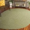 SAFAVIEH Braided Indoor/Outdoor Washable Oval Rug 3x5, Sage BRD317W view 1