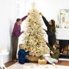 Best Choice Products Full Flocked Aspen Christmas Tree, 6ft Pre-lit Realistic Noble Fir w/ 450 Glowing LED Lights, 2-in-1 White & Multicolor view 3