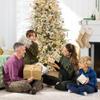 Best Choice Products Full Flocked Aspen Christmas Tree, 6ft Pre-lit Realistic Noble Fir w/ 450 Glowing LED Lights, 2-in-1 White & Multicolor view 4