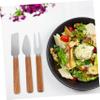 STOBAZA 4pcs Professional Cheese Knife Fork Cheese Spreaders Cutters Kitchen Supplies Straight Handle view 3