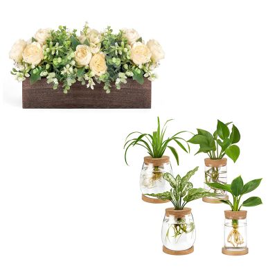 Dahey Centerpiece Table Decorations and 4 Pcs Plants Propagation Stations for Indoor Plants Tabletop Home Decor