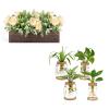 Dahey Centerpiece Table Decorations and 4 Pcs Plants Propagation Stations for Indoor Plants Tabletop Home Decor view 1