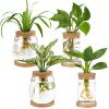 Dahey Centerpiece Table Decorations and 4 Pcs Plants Propagation Stations for Indoor Plants Tabletop Home Decor view 4