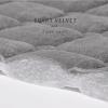ZYANLING Velvet Stretch Bed Headboard Slipcover Twin Queen Full King Headboard Cover Thicken Dustproof Protector Cover for Home Decor Washable (Champagne,190cm/75in) view 3
