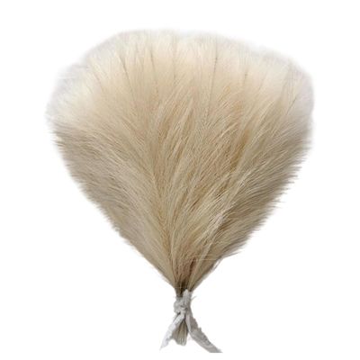 Queenbox 16.5in 10pcs Artificial Fluffy Pampas Grass, Faux Reed Grass Pampas Grass Short Stems Bouquet for Vase Boho Home Wedding, Beige