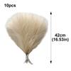 Queenbox 16.5in 10pcs Artificial Fluffy Pampas Grass, Faux Reed Grass Pampas Grass Short Stems Bouquet for Vase Boho Home Wedding, Beige view 2