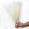Queenbox 16.5in 10pcs Artificial Fluffy Pampas Grass, Faux Reed Grass Pampas Grass Short Stems Bouquet for Vase Boho Home Wedding, Beige view 3