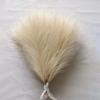 Queenbox 16.5in 10pcs Artificial Fluffy Pampas Grass, Faux Reed Grass Pampas Grass Short Stems Bouquet for Vase Boho Home Wedding, Beige view 4