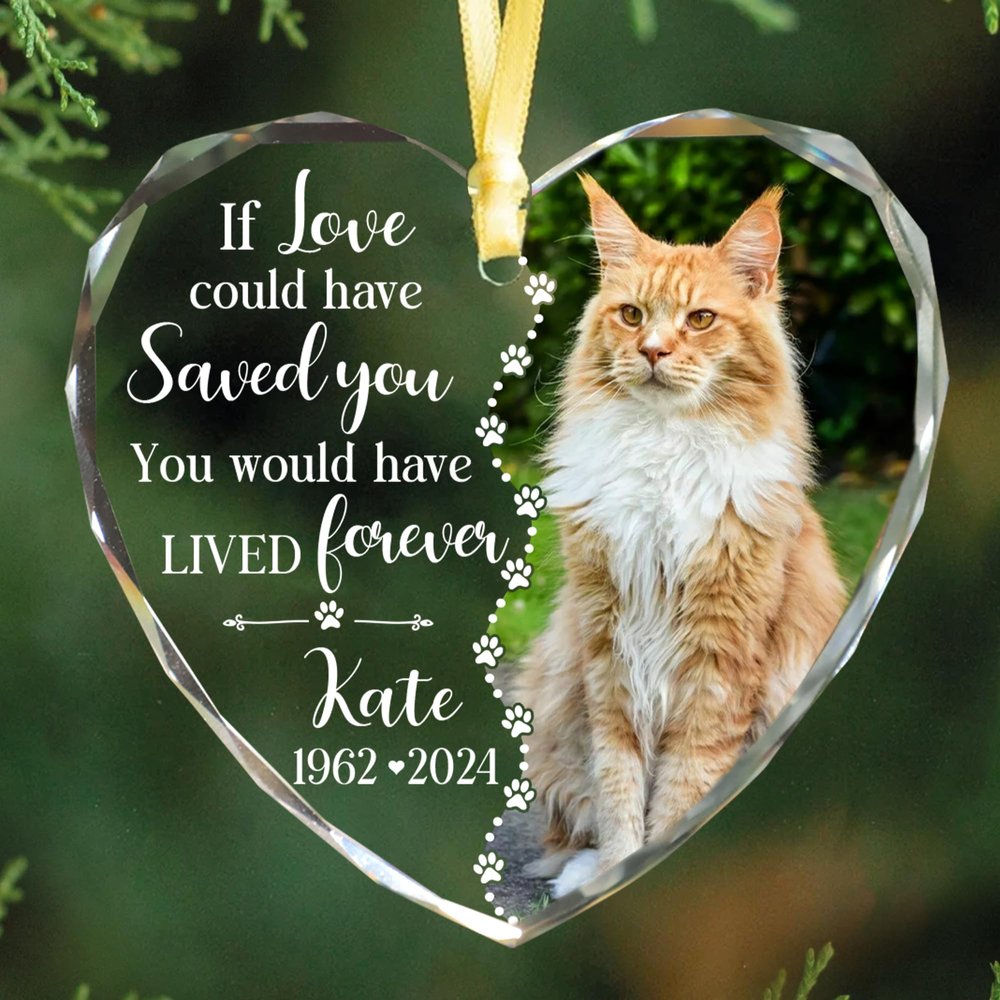 Fastpeace Personalized Wings Memorial Dog Christmas Ornaments - Forever in Our Hearts Acrylic Ornament for Your Loss Pet - Custom Photo, Name, Years (Memorial Cat Glass Heart)