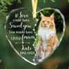 Fastpeace Personalized Wings Memorial Dog Christmas Ornaments - Forever in Our Hearts Acrylic Ornament for Your Loss Pet - Custom Photo, Name, Years (Memorial Cat Glass Heart) view 1