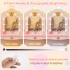 Costzon Kids Vanity with Lights, Girls Vanity Set with Mirror and Stool, Drawer, 2 in 1 Princess Makeup Desk Dressing Table, Kids Vanity Table and Chair Set (Pink) view 2
