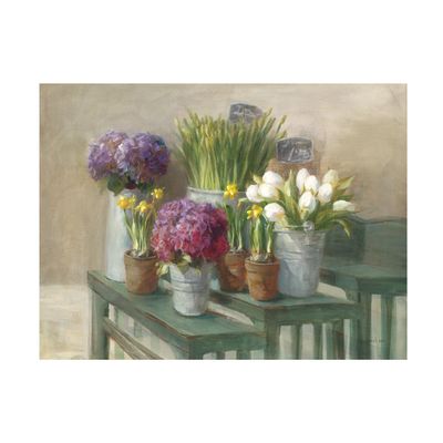 Trademark Fine Art Canvas Wall Art - Danhui Nai 'Les Fleurs Printemps' Wall Art for Living Room, Bedroom, or Office Dcor